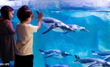SEA LIFE Konstanz