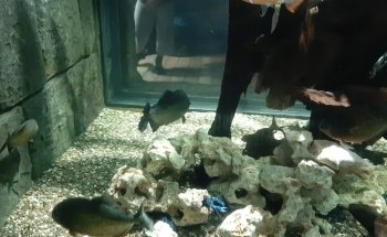 SEA LIFE Konstanz
