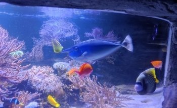 SEA LIFE Konstanz