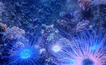 SEA LIFE Konstanz