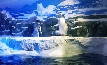 SEA LIFE Konstanz