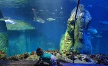 Sea Life Munich
