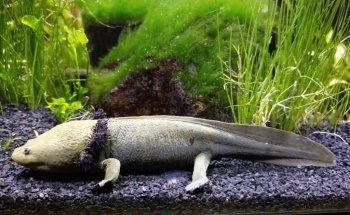 Aquarium Wilhelmshaven incl. Prehistoric Sea Museum