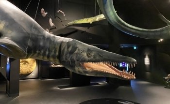 Aquarium Wilhelmshaven incl. Prehistoric Sea Museum