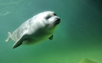 Aquarium Wilhelmshaven incl. Prehistoric Sea Museum