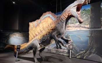 Aquarium Wilhelmshaven incl. Prehistoric Sea Museum