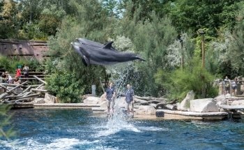 Dolphinarium at Nuremberg Zoo