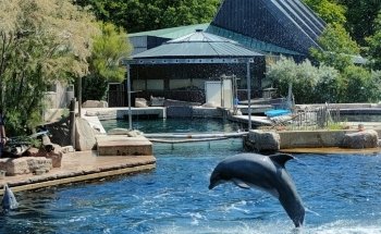 Dolphinarium in the zoo of Nuremberg