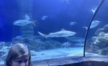 SEA LIFE Hannover