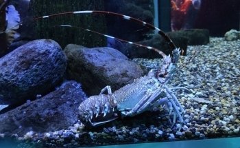 SEA LIFE Timmendorfer beach