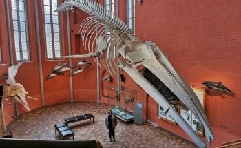 German Oceanographic Museum