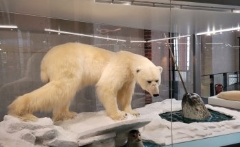German Oceanographic Museum