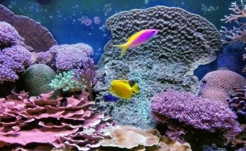 German Oceanographic Museum