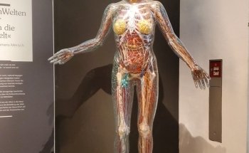 Landesmuseum Hannover