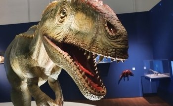Landesmuseum Hannover