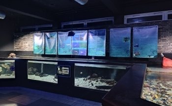 Aquarium GEOMAR