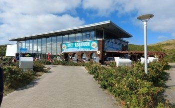 Sylt Aquarium