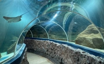 Sylt Aquarium