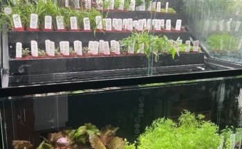 ZOOBOX