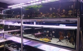 ZOOBOX