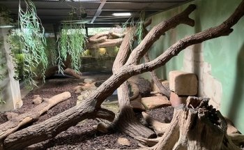Exotarium Oberhof