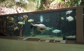 Exotarium Oberhof