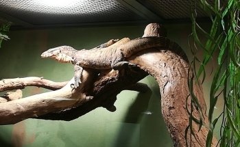 Exotarium Oberhof