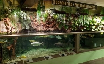 Exotarium Oberhof