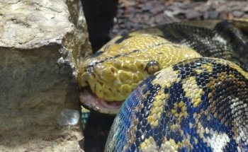 Exotarium Oberhof