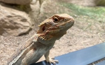 Exotarium Oberhof