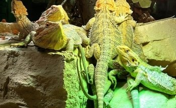 Exotarium Oberhof