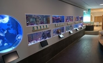 North Sea Aquarium Borkum