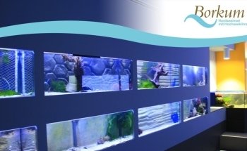 Nordsee Aquarium Borkum
