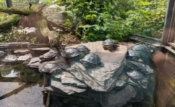 Outdoor aquarium and -Terrarium