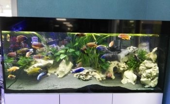 Aquaristik-Partner e.K.