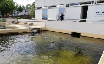 Seehundbecken