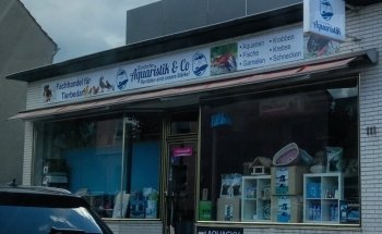 Zündorfer Aquaristik