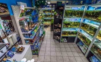 Zündorfer Aquaristik