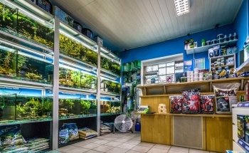 Zündorfer Aquaristik