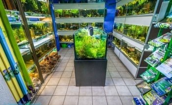 Zündorfer Aquaristik