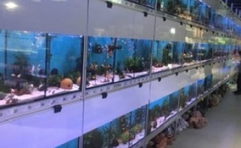 Aquarium Center East, Munich