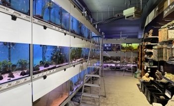 Aquarium Center East, Munich