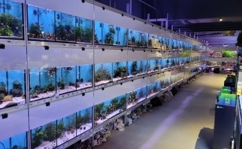 Aquarium Center East, Munich