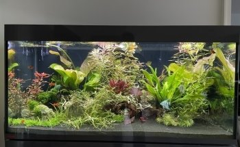 Aquarium Center East, Munich