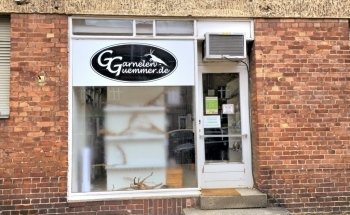 Shrimp Guemmer