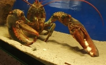 Marine Biology Station Laboe