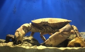 Marine Biology Station Laboe