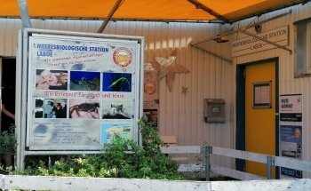 Marine Biology Station Laboe