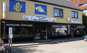Ornamental Fish Gottschalk Freshwater and Marine Aquariums