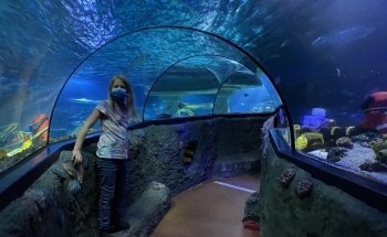LEGOLAND ATLANTIS by SEA LIFE